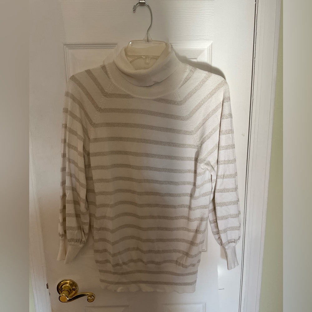 Express Cream and Gold Turtleneck Sweater